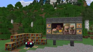 Minecraft 1.21.21 3