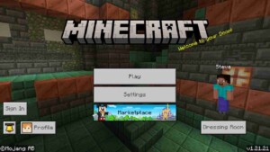 Minecraft 1.21.21 2