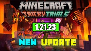 Minecraft 1.21.23 1