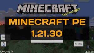 Minecraft 1.21.30.03 1